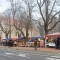 Katharinenmarkt und regionaler Markt