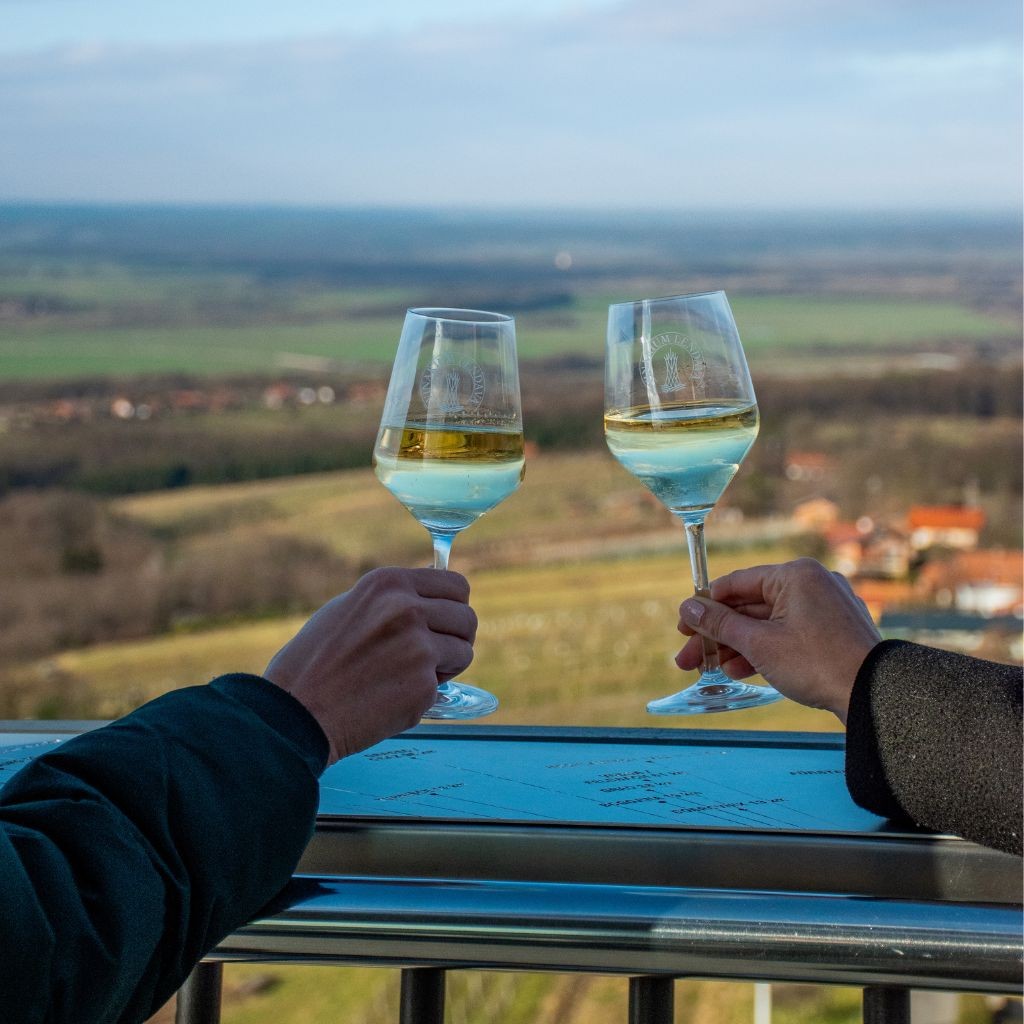 Vina z razgledom na stolpu Vinarium z Vinsko kraljico Slovenije Lendava