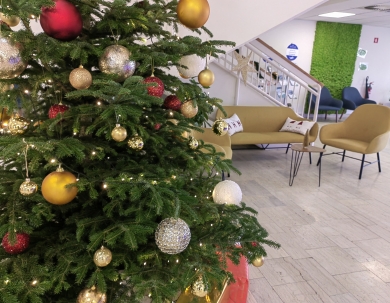 Weihnachten Entspannung - 2 Kinder bis 9,99 Jahre frei Weihnachten Entspannung - 2 Kinder bis 9,99 Jahre frei